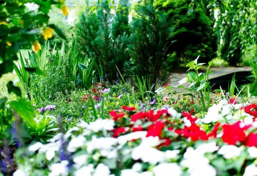 ホテル Albrechtshof Gohrisch