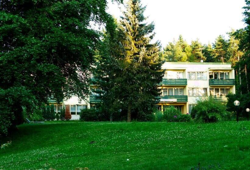 ホテル Albrechtshof Gohrisch