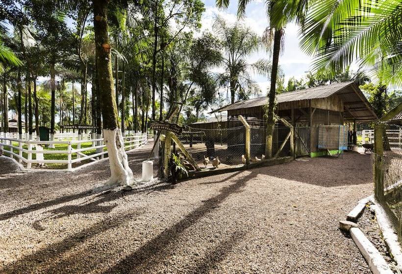 Отель Pousada Camury