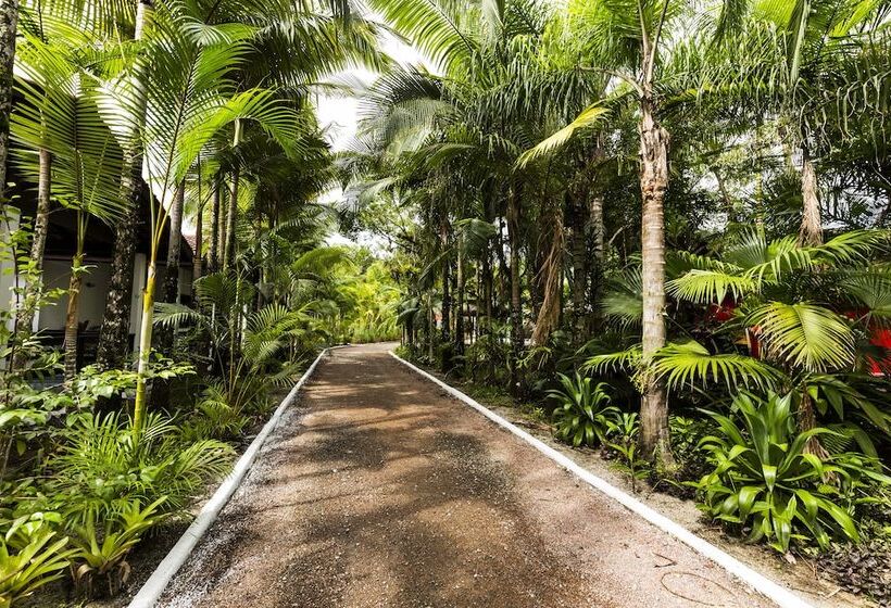 Отель Pousada Camury