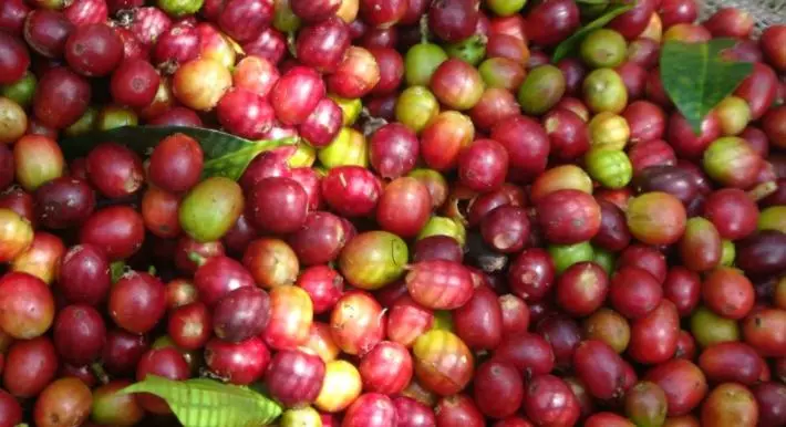 Hotelli San Agustin Internacional