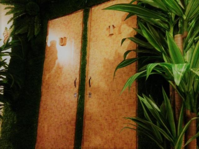 הוסטל Stella Resort