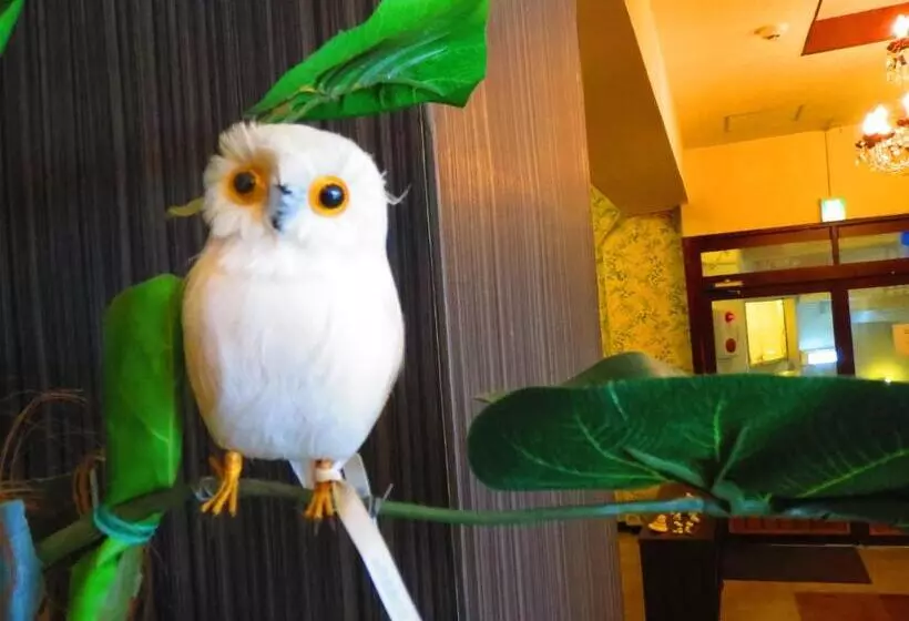 ユースホステル Stella Resort