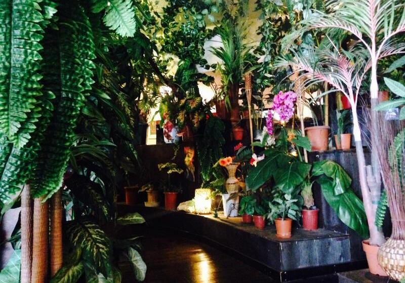 הוסטל Stella Resort