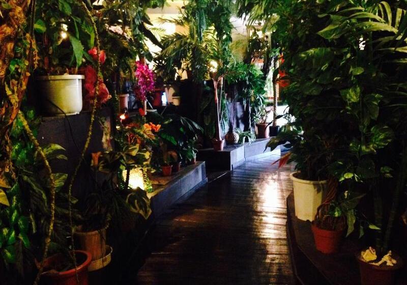 הוסטל Stella Resort