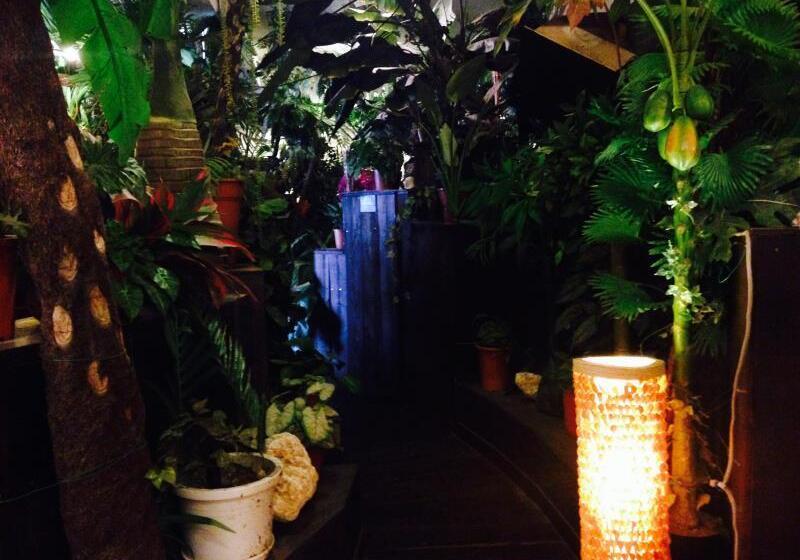 הוסטל Stella Resort