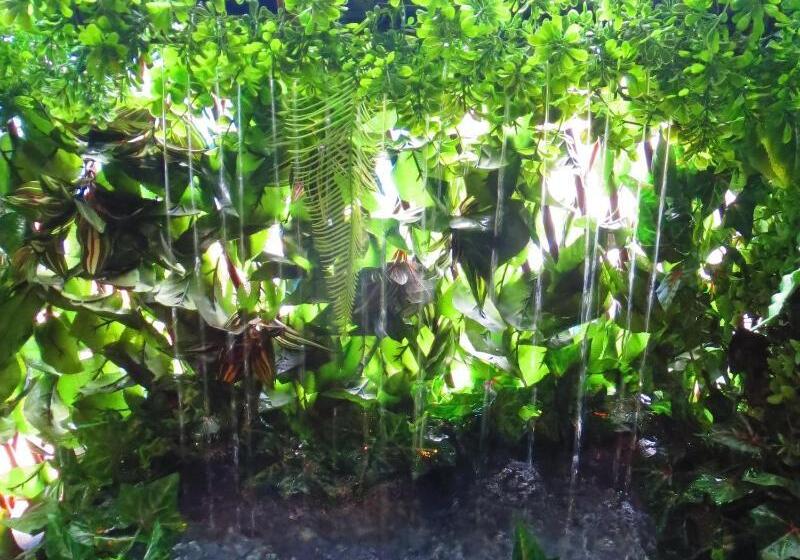 הוסטל Stella Resort