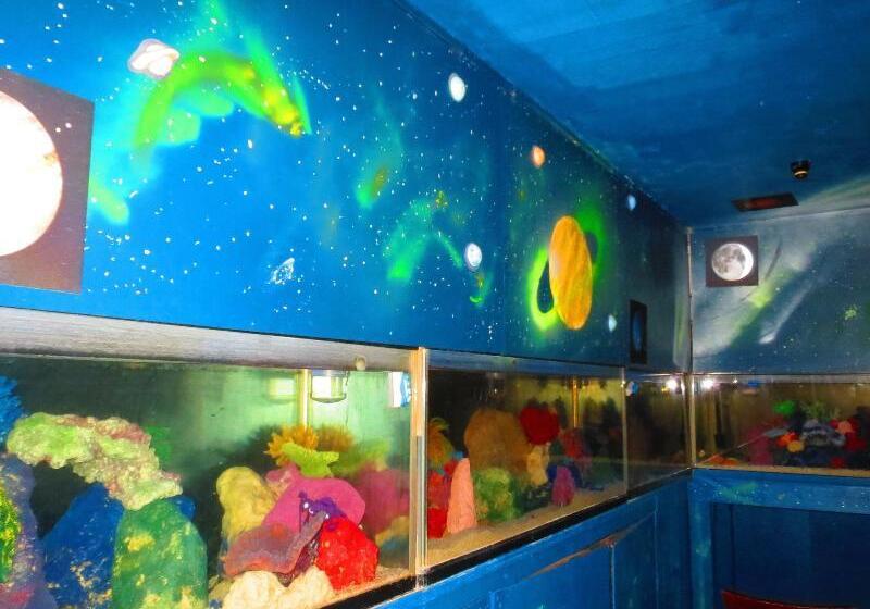 הוסטל Stella Resort