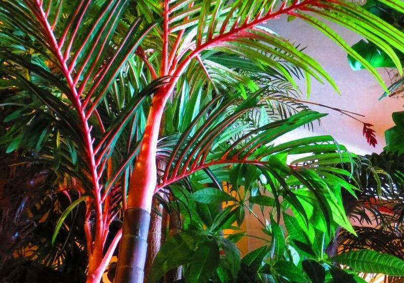 הוסטל Stella Resort