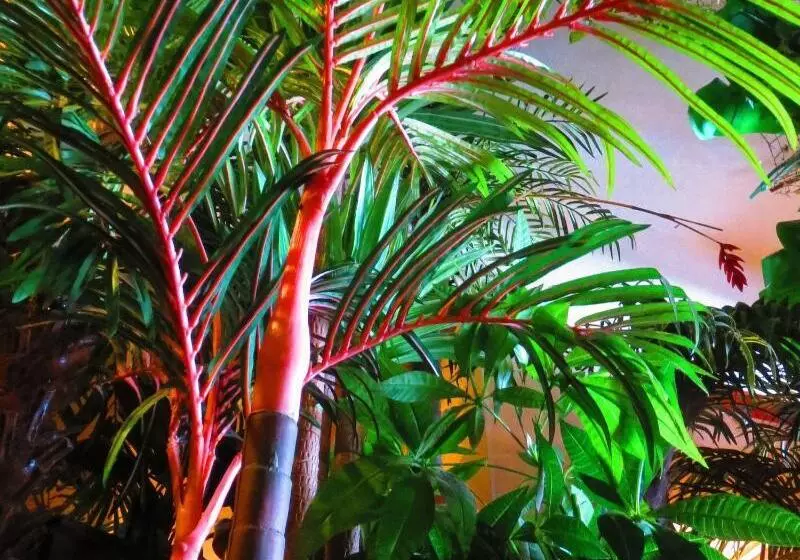 ユースホステル Stella Resort