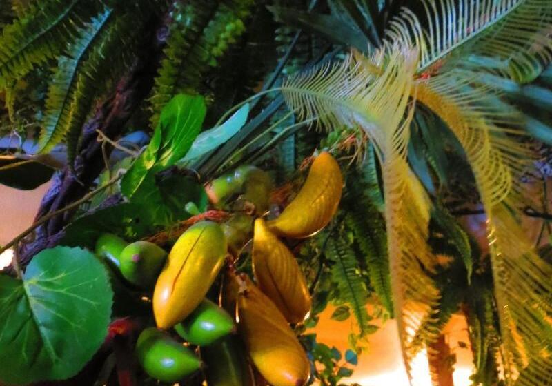 הוסטל Stella Resort