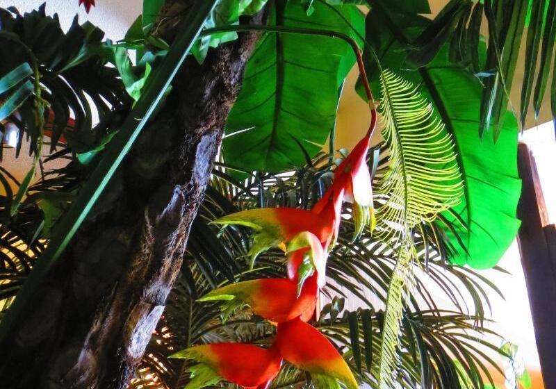 הוסטל Stella Resort