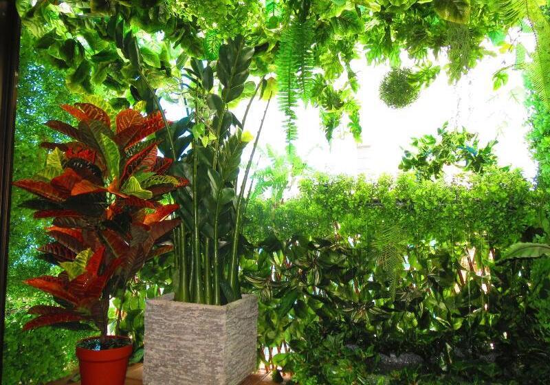 הוסטל Stella Resort