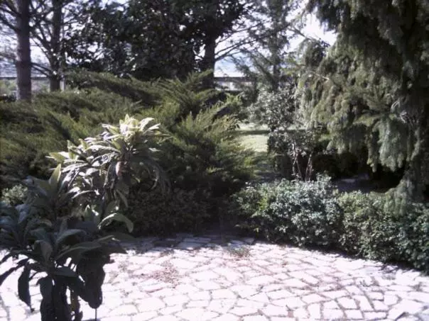 B&b Maggiociondolo