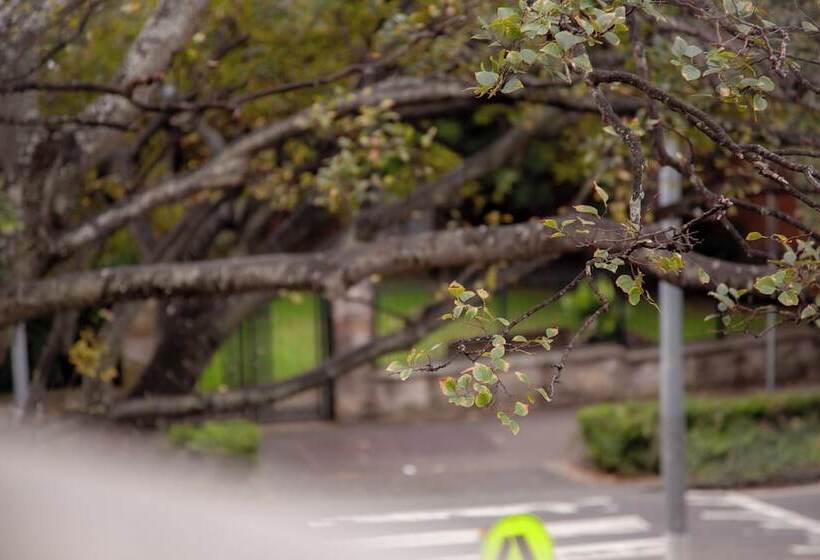 فندق Bayswater Boutique Lodge