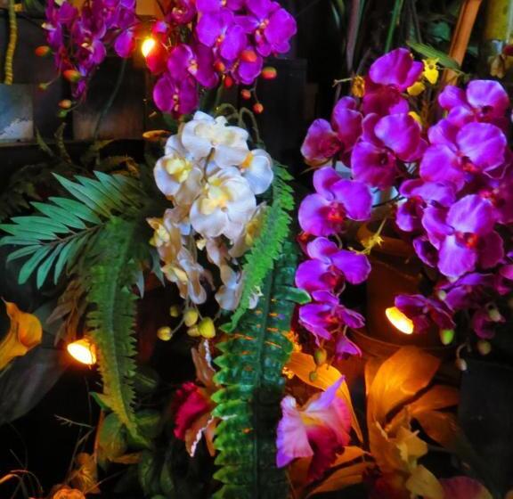 הוסטל Stella Resort