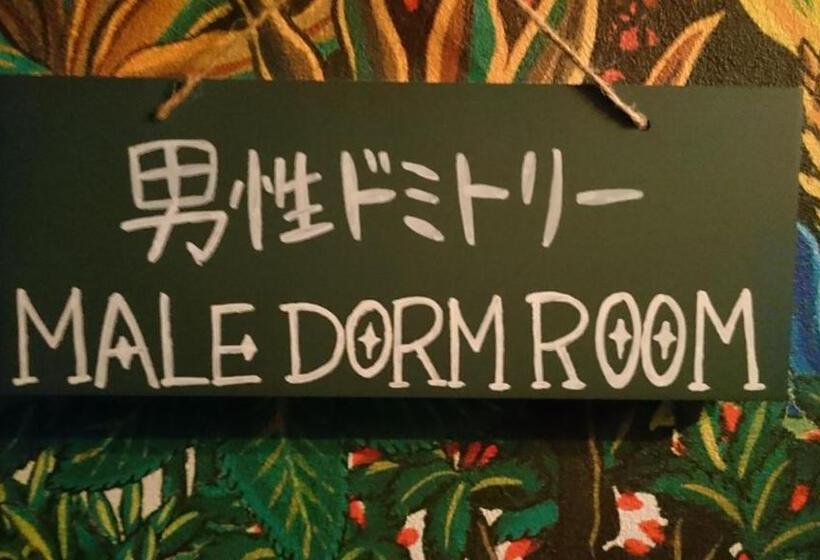 הוסטל Stella Resort