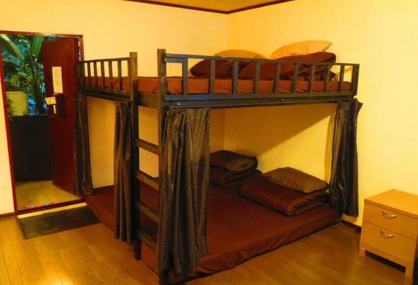 הוסטל Stella Resort