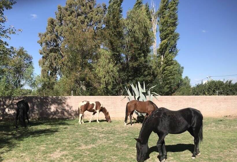 Отель Finca La Carmelita