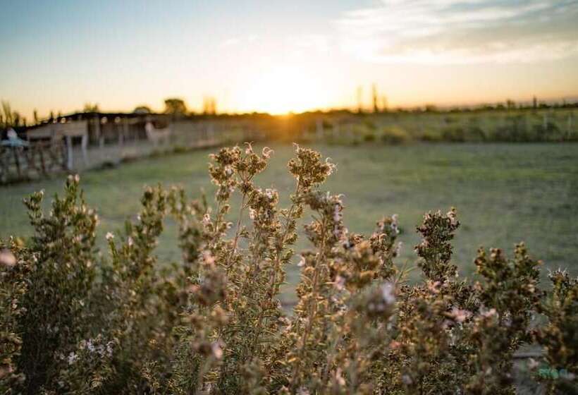 Отель Finca La Carmelita