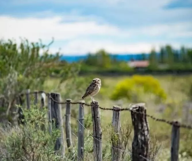 Hotelli Finca La Carmelita