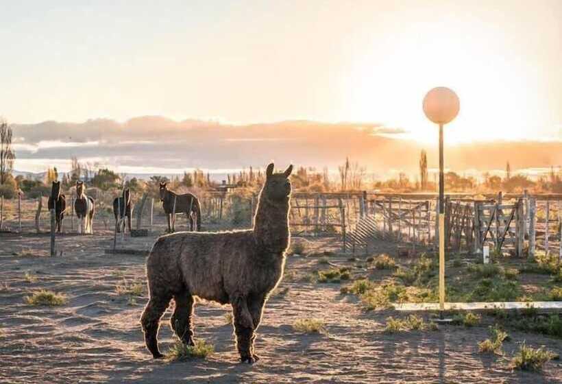 Отель Finca La Carmelita