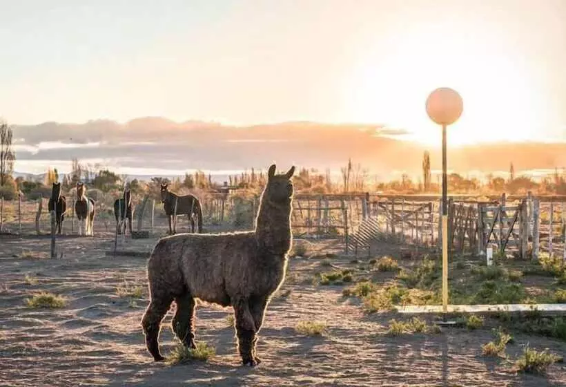 Hotelli Finca La Carmelita