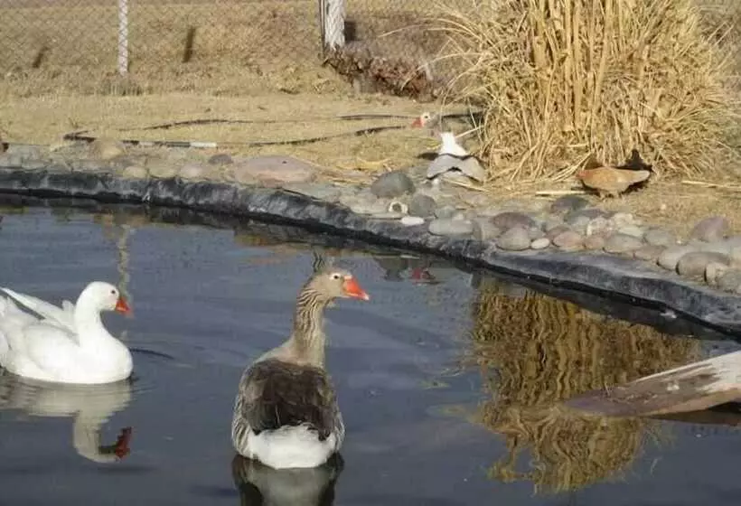 Hotelli Finca La Carmelita