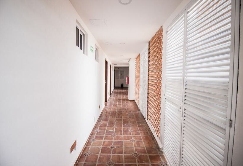 The Paramar Beachfront Boutique Hotel With Breakfast Included   Downtown Malecon