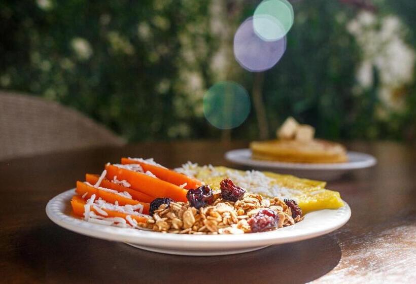 The Paramar Beachfront Boutique Hotel With Breakfast Included   Downtown Malecon