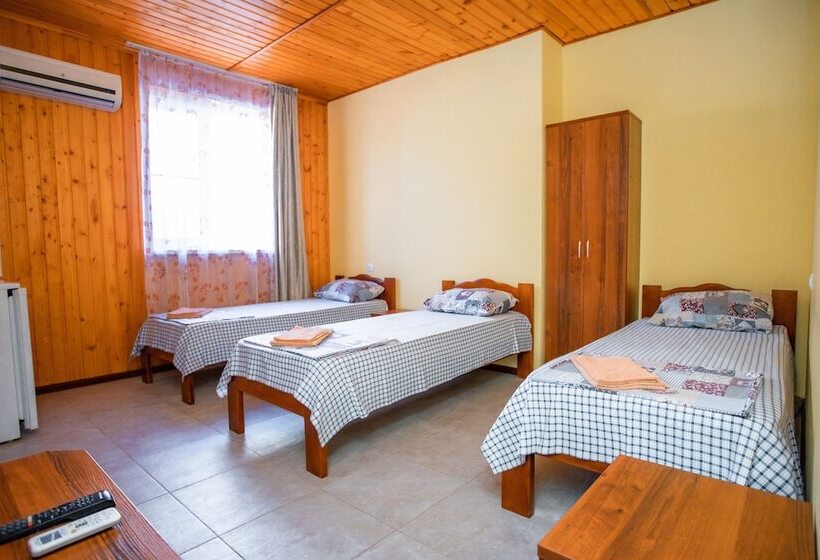 בית מלון כפרי Guest House Apelsin