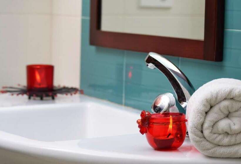 Отель The Mount Regency