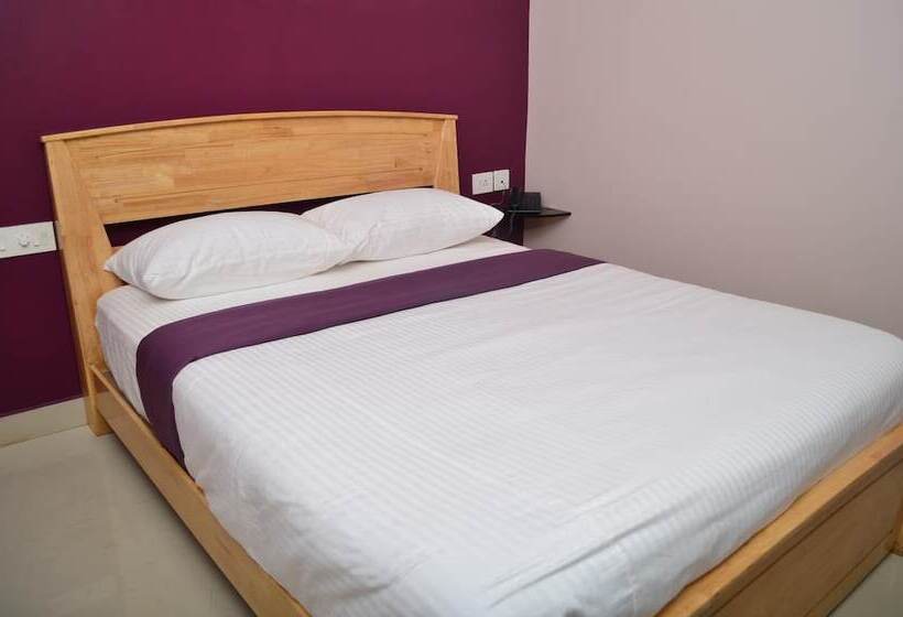 Отель The Mount Regency