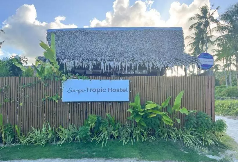 Siargao Tropic Hostel