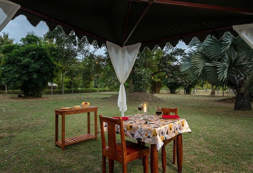 Soulacia Hotel And Resort