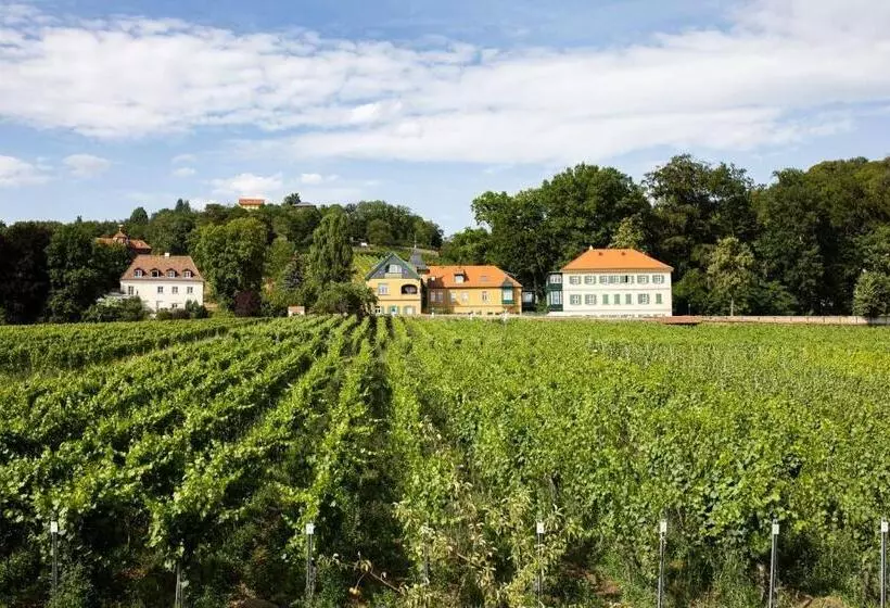 Weingut Haus Steinbach