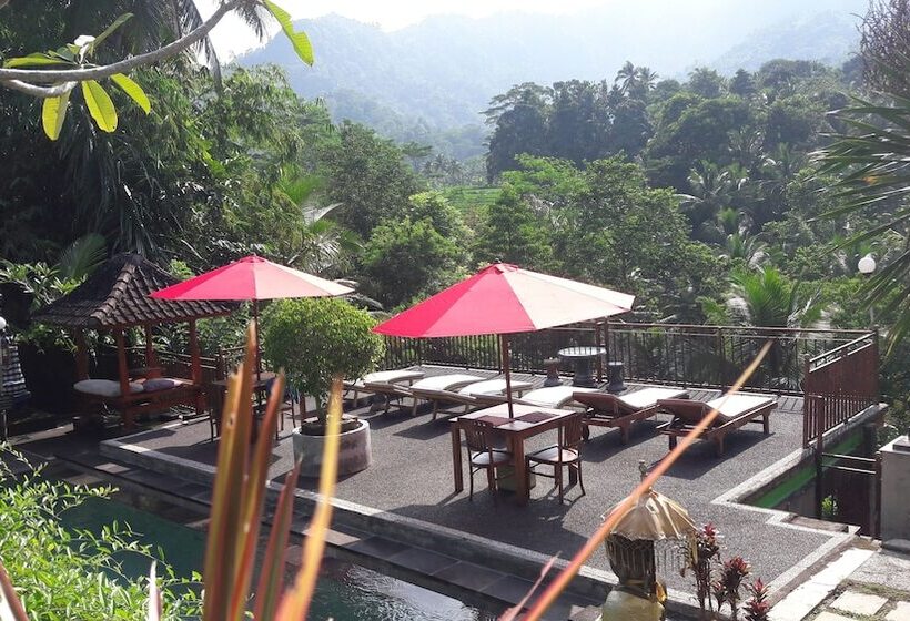 住宿加早餐 Astana Swaha Villa