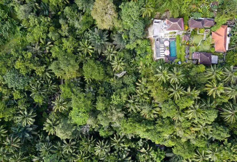 ベッドアンドブレックファースト Astana Swaha Villa