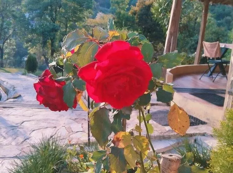 هتل Dev Bhoomi Farms & Cottages