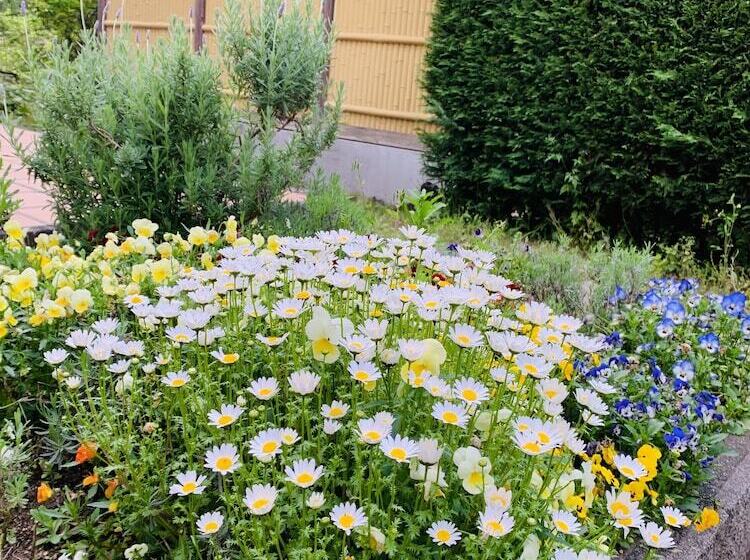 هتل Forest Villa Olive