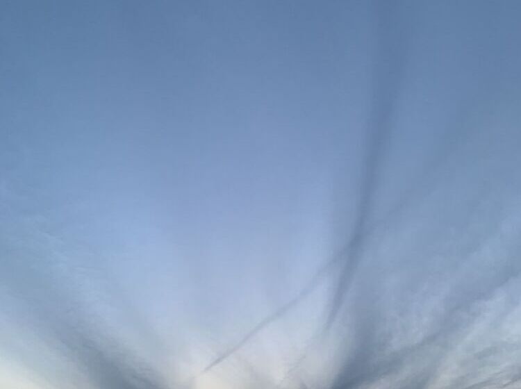 هتل Forest Villa Olive