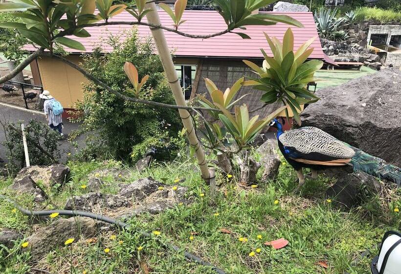 هتل Forest Villa Olive