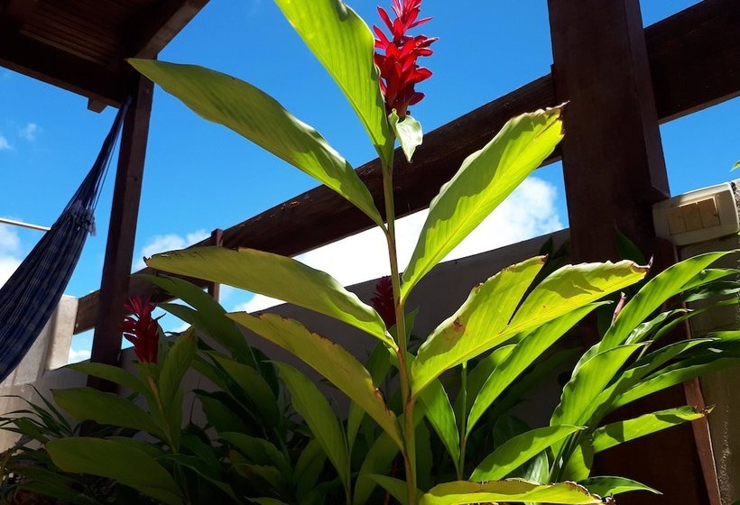 فندق Vai Dá Certo