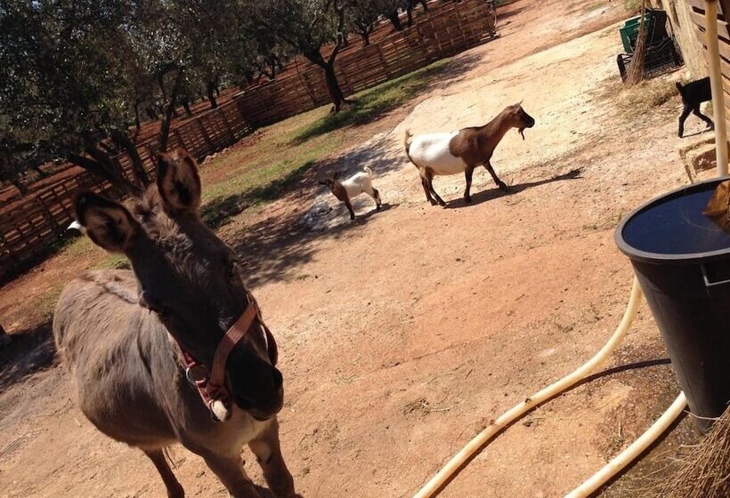 교외 호텔 Agriturismo Le Calie