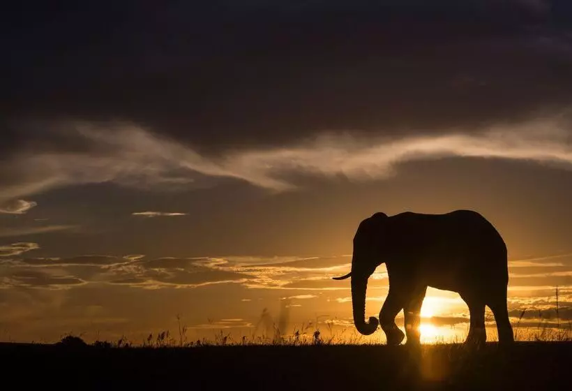 Hotelli Shamwari Sindile