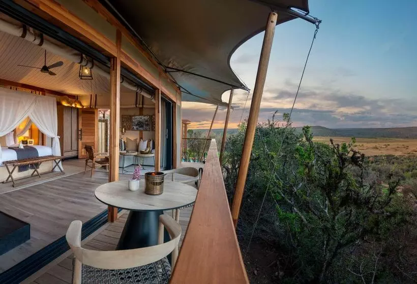 Hotelli Shamwari Sindile