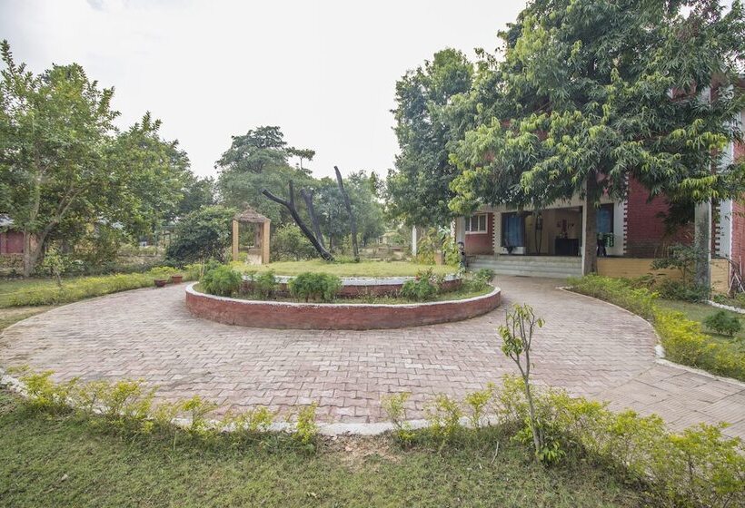 בית מלון כפרי Tribal Wood Resort