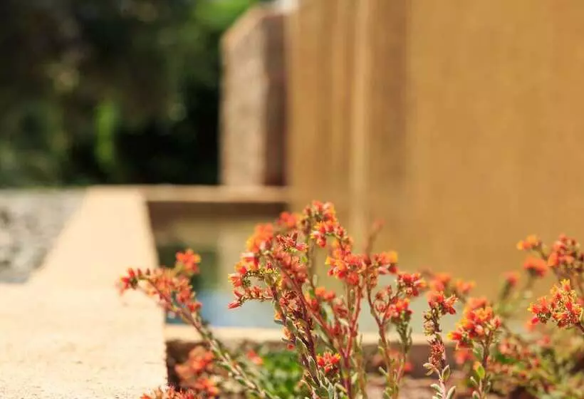 هتل 180 South Seaside