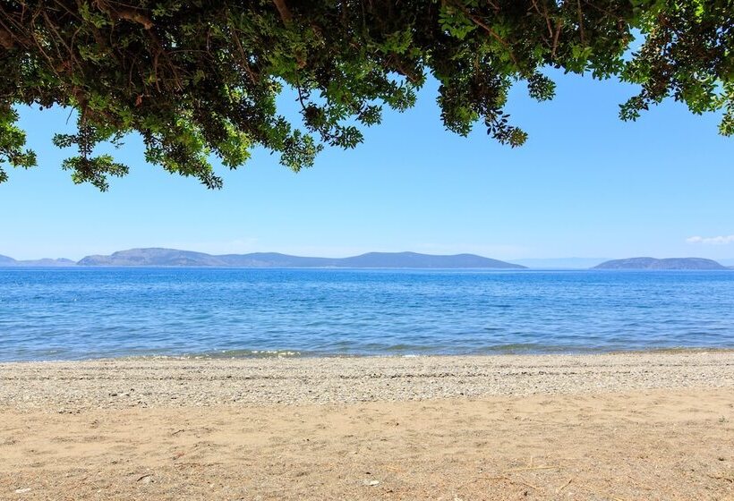 酒店 180 South Seaside