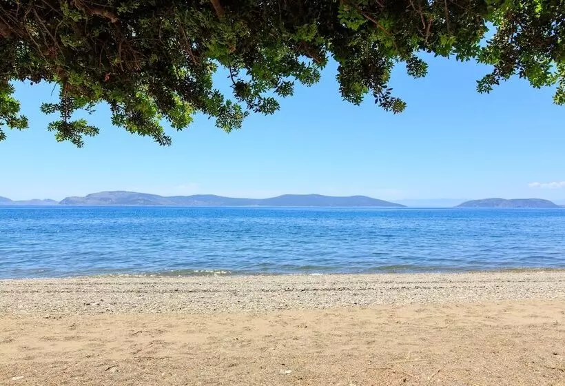 هتل 180 South Seaside